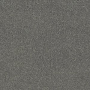 Shaw Floors Value ESSAY II 12' - 00501 FLANNEL