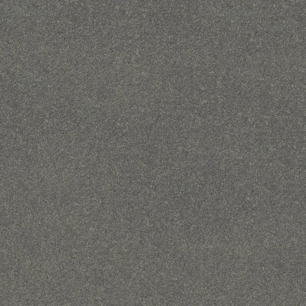 Shaw Floors Value ESSAY II 12' - 00501 FLANNEL