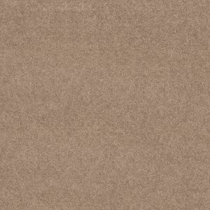 Shaw Floors Value ESSAY II 12' - 00762 MOCCASIN