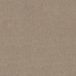 Shaw Floors Value ESSAY II 12' - 00700 COOKIE DOUGH