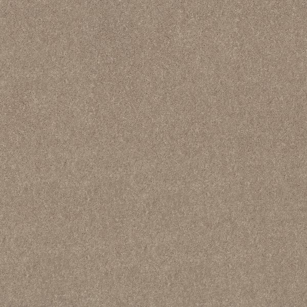 Shaw Floors Value ESSAY II 12' - 00700 COOKIE DOUGH