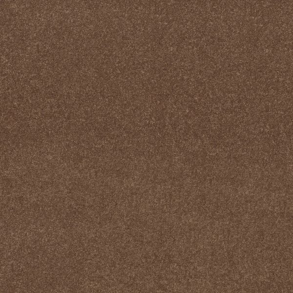 Shaw Floors Value ESSAY II 12' - 00791 OWL