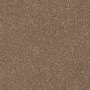 Shaw Floors Value ESSAY II 12' - 00792 FAWN