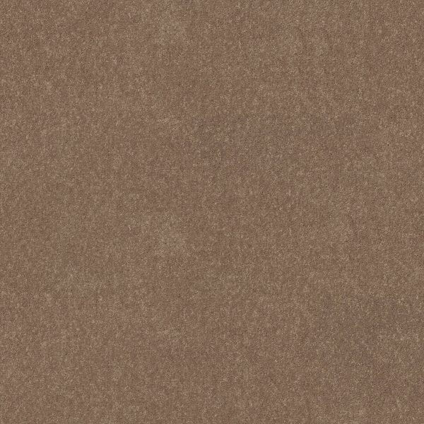 Shaw Floors Value ESSAY II 12' - 00792 FAWN
