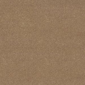 Shaw Floors Value ESSAY II 12' - 00793 FIELD KHAKI