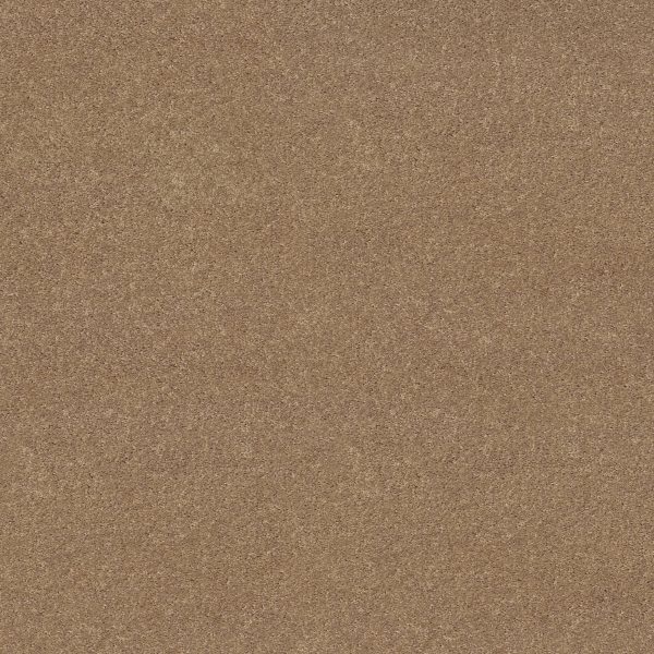 Shaw Floors Value ESSAY II 12' - 00793 FIELD KHAKI