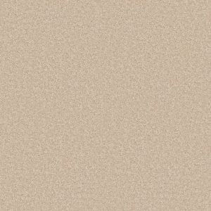 Shaw Floors Value ESSAY II 15' - 01431 CLOUD