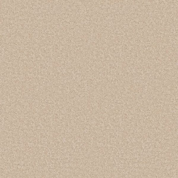 Shaw Floors Value ESSAY II 15' - 01431 CLOUD