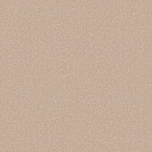 Shaw Floors Value ESSAY II 15' - 02951 HEAVENLY