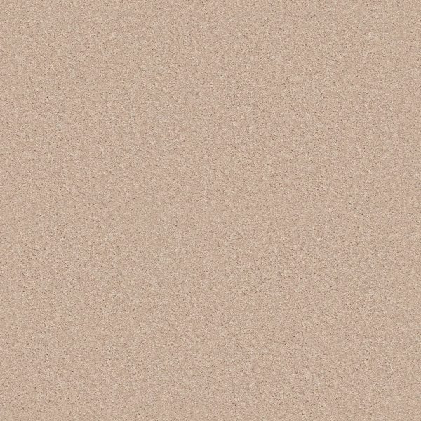 Shaw Floors Value ESSAY II 15' - 02951 HEAVENLY