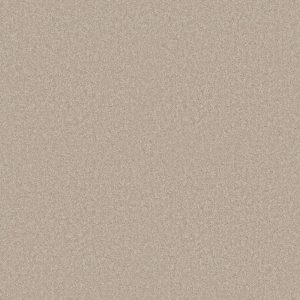 Shaw Floors Value ESSAY II 15' - 00109 CRISP LINEN
