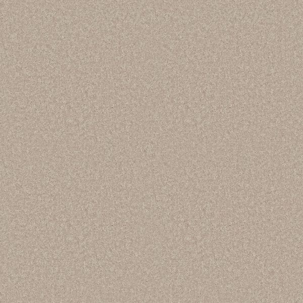 Shaw Floors Value ESSAY II 15' - 00109 CRISP LINEN