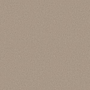 Shaw Floors Value ESSAY II 15' - 00116 SAND DOLLAR