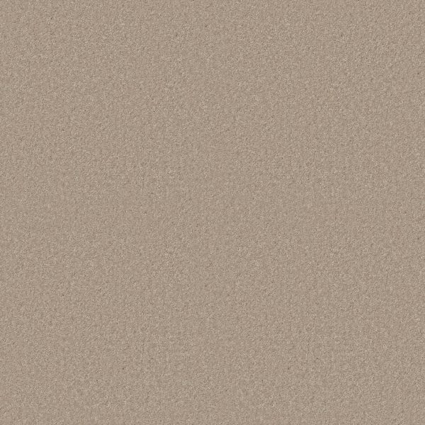 Shaw Floors Value ESSAY II 15' - 00116 SAND DOLLAR