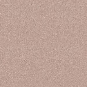 Shaw Floors Value ESSAY II 15' - 00103 SHEER ECRU