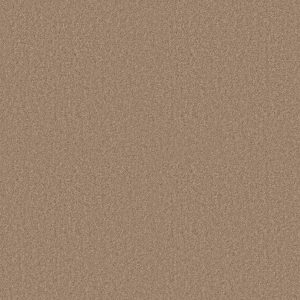 Shaw Floors Value ESSAY II 15' - 00260 STRAW HAT