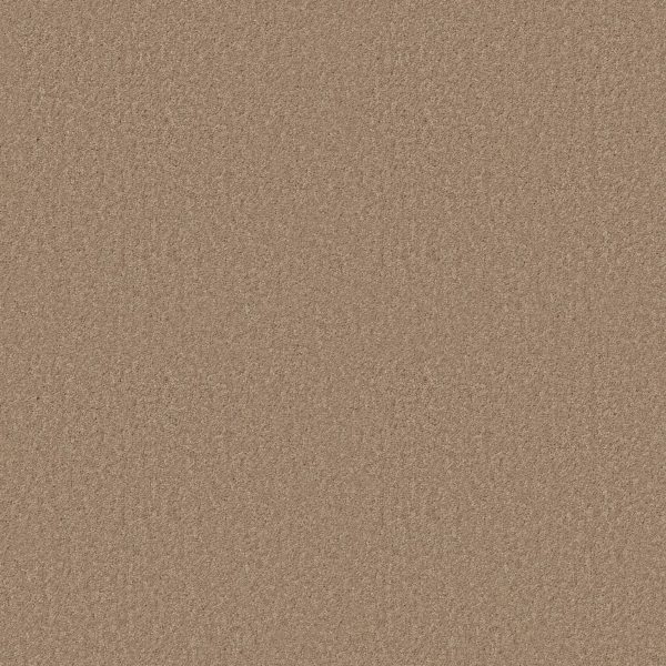 Shaw Floors Value ESSAY II 15' - 00260 STRAW HAT