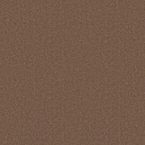 Shaw Floors Value ESSAY II 15' - 02456 MOCCASIN