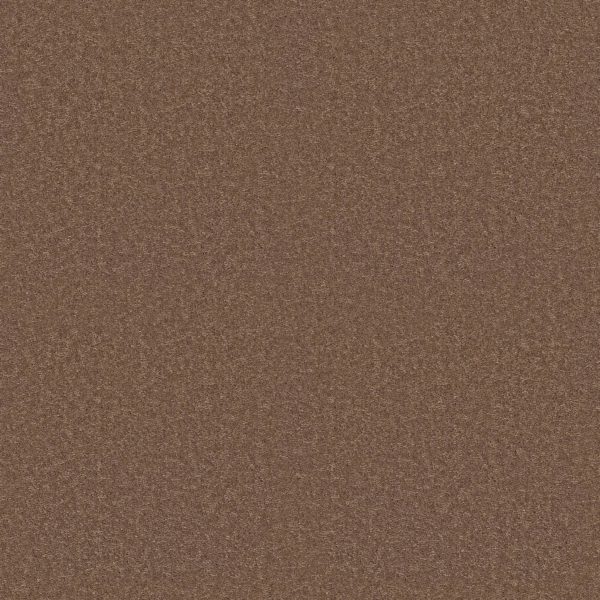 Shaw Floors Value ESSAY II 15' - 02456 MOCCASIN