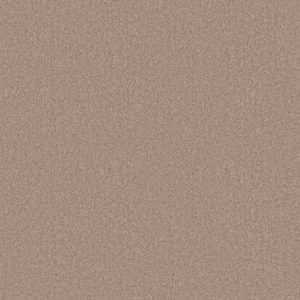 Shaw Floors Value ESSAY II 15' - 00762 BASKET