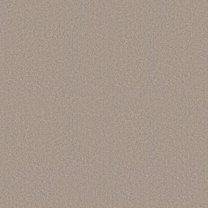 Shaw Floors Value ESSAY II 15' - 00700 COOKIE DOUGH
