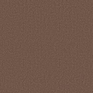 Shaw Floors Value ESSAY II 15' - 00791 OWL