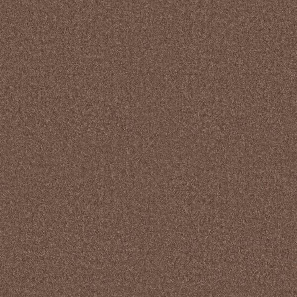 Shaw Floors Value ESSAY II 15' - 00791 OWL