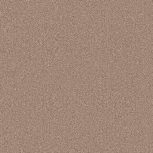 Shaw Floors Value ESSAY II 15' - 00793 FIELD KHAKI
