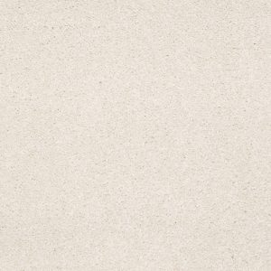 Shaw Floors Retail EVERYDAY COMFORT (S) - 00101 BUTTERMILK