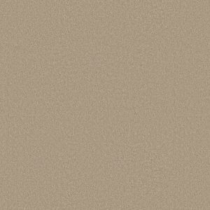 Shaw Floors Retail EVERYDAY COMFORT (S) - 00104 PEBBLE BEIGE
