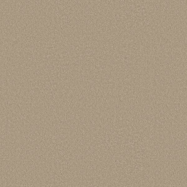 Shaw Floors Retail EVERYDAY COMFORT (S) - 00104 PEBBLE BEIGE