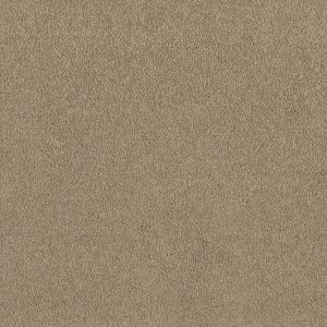 Shaw Floors Retail EVERYDAY COMFORT (S) - 00105 PUTTY