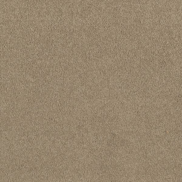 Shaw Floors Retail EVERYDAY COMFORT (S) - 00105 PUTTY