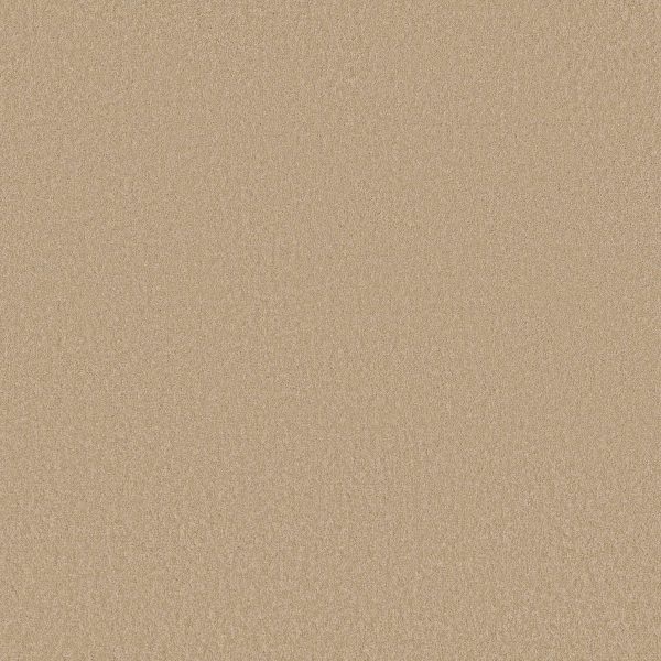Shaw Floors Retail EVERYDAY COMFORT (S) - 00106 POPCORN
