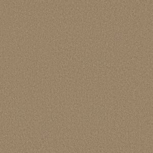Shaw Floors Retail EVERYDAY COMFORT (S) - 00108 SANDSTONE