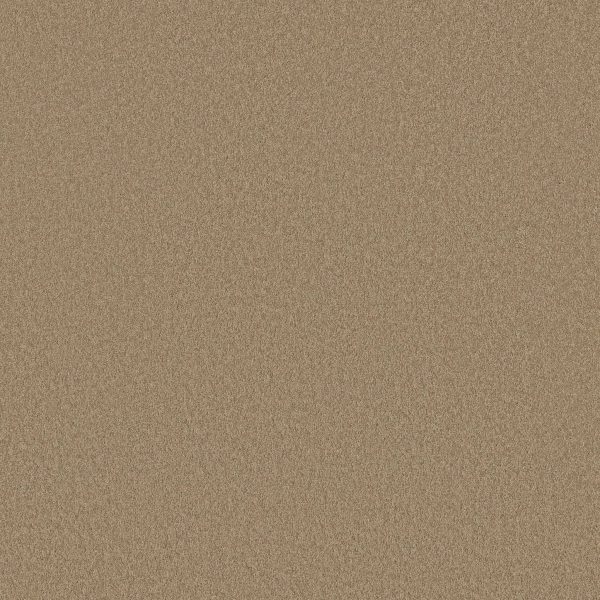 Shaw Floors Retail EVERYDAY COMFORT (S) - 00108 SANDSTONE