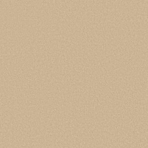 Shaw Floors Retail EVERYDAY COMFORT (S) - 00200 CUSTARD