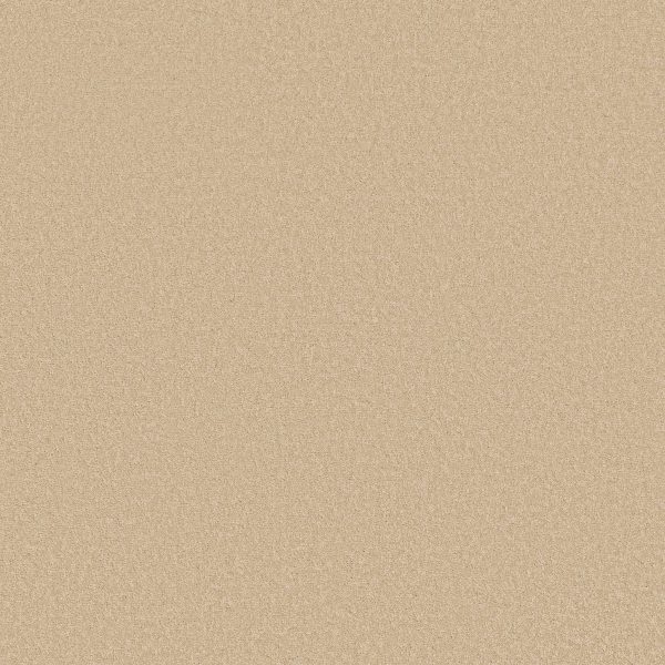 Shaw Floors Retail EVERYDAY COMFORT (S) - 00200 CUSTARD