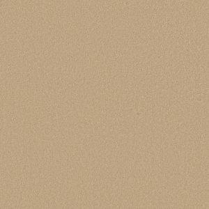 Shaw Floors Retail EVERYDAY COMFORT (S) - 00201 HONEYCOMB