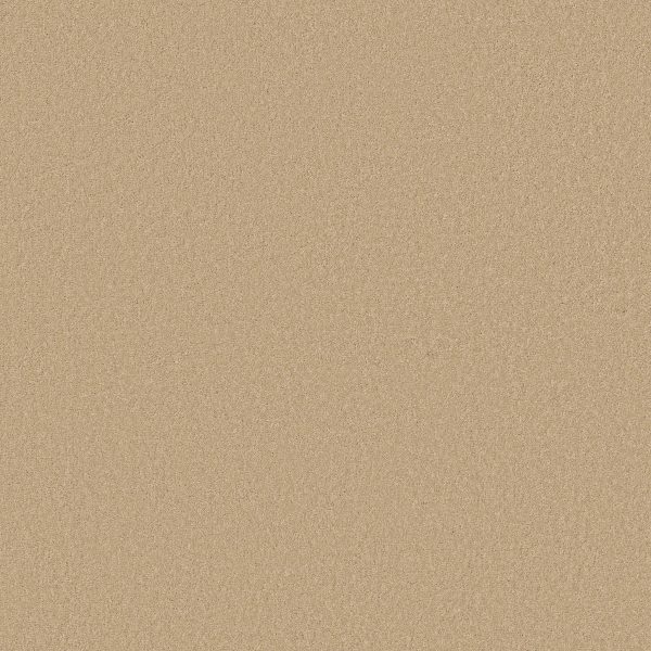 Shaw Floors Retail EVERYDAY COMFORT (S) - 00201 HONEYCOMB