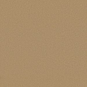 Shaw Floors Retail EVERYDAY COMFORT (S) - 00202 TOAST