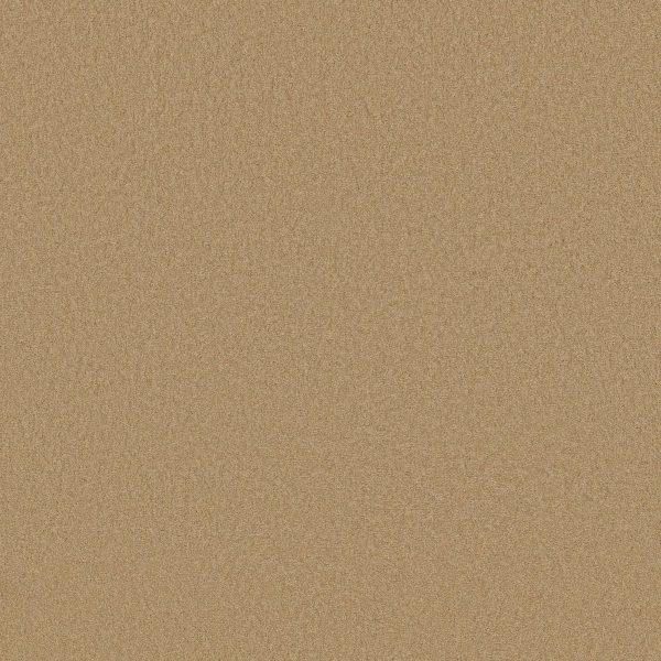 Shaw Floors Retail EVERYDAY COMFORT (S) - 00202 TOAST