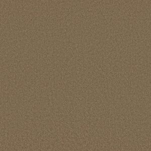 Shaw Floors Retail EVERYDAY COMFORT (S) - 00301 LOG CABIN
