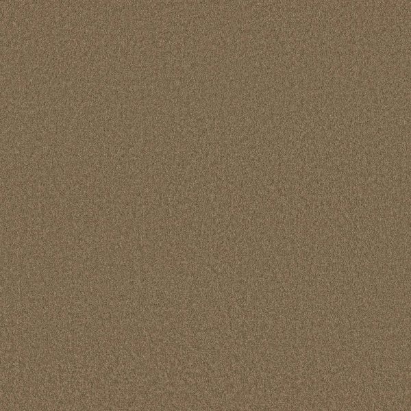 Shaw Floors Retail EVERYDAY COMFORT (S) - 00301 LOG CABIN