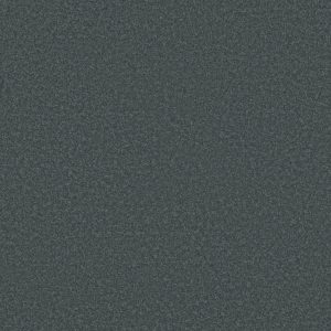 Shaw Floors Retail EVERYDAY COMFORT (S) - 00401 GUN METAL