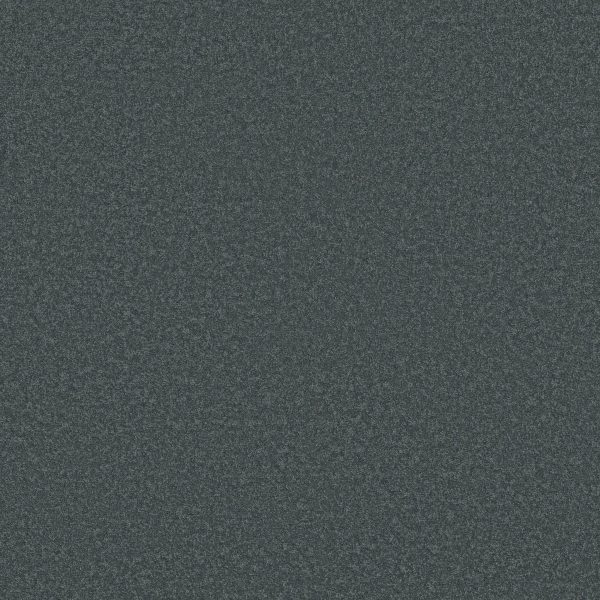Shaw Floors Retail EVERYDAY COMFORT (S) - 00401 GUN METAL