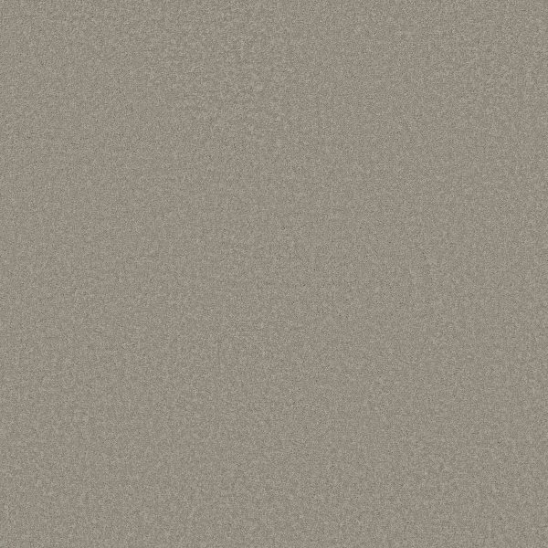 Shaw Floors Retail EVERYDAY COMFORT (S) - 00500 ANTIQUE PEWTER