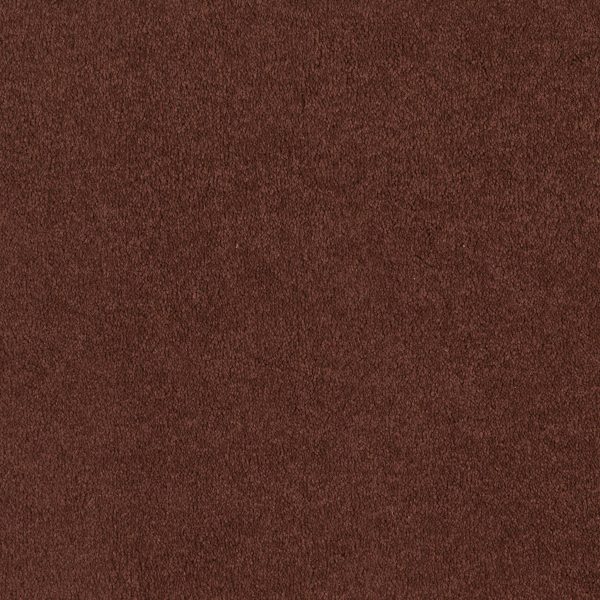 Shaw Floors Retail EVERYDAY COMFORT (S) - 00601 MAGIC LANTERN