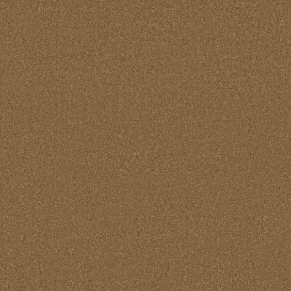 Shaw Floors Retail EVERYDAY COMFORT (S) - 00702 GRANOLA