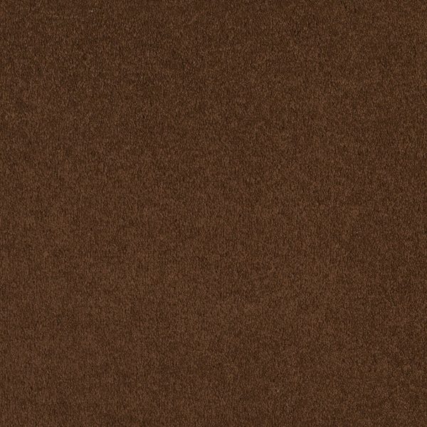 Shaw Floors Retail EVERYDAY COMFORT (S) - 00707 FUDGE